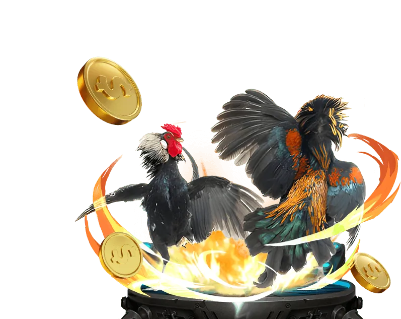 Đá gà trực tuyến IWIN